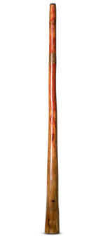Tristan O'Meara Didgeridoo (TM289)
